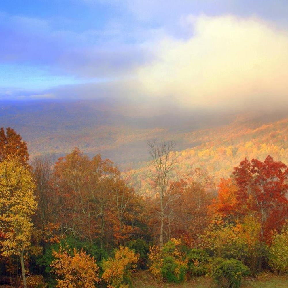 Amicalola Falls State Park And Lodge ドーソンヴィル エクステリア 写真